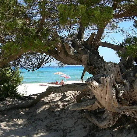Stunning Bouganvillage 2 Bedroom Sleeps 6 Child Appartement *
