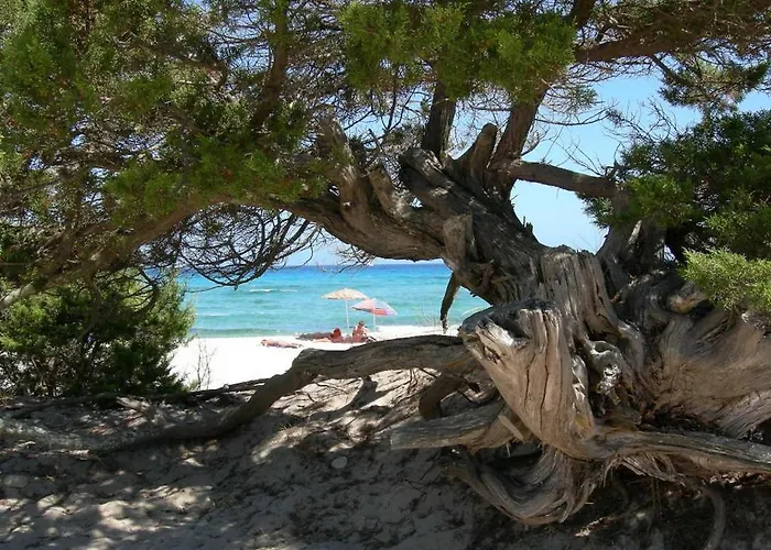 Stunning Bouganvillage 2 Bedroom Sleeps 6 Child Apartman *